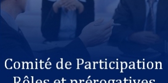 Comité de Participation - Rôle et prérogatives