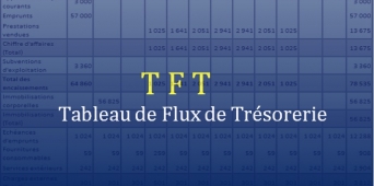 TFT - Tableau de Flux de Trésorerie